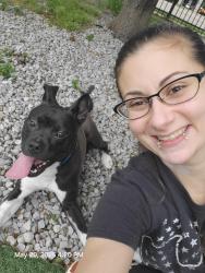 Reunited Male Dog last seen Angelus and Madison, Memphis, TN 38104