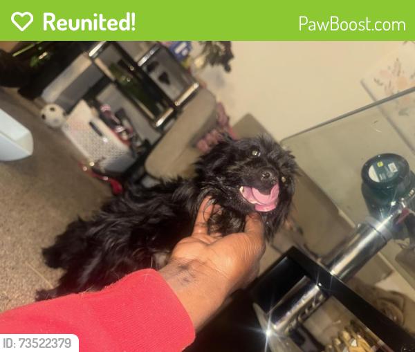 Reunited Female Dog last seen Apache, Greensboro, NC 27401