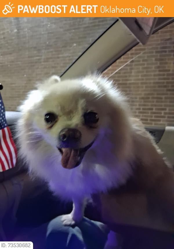 Found/Stray Female Dog last seen Nw 16th meridian, by 711, Oklahoma City, OK 73107