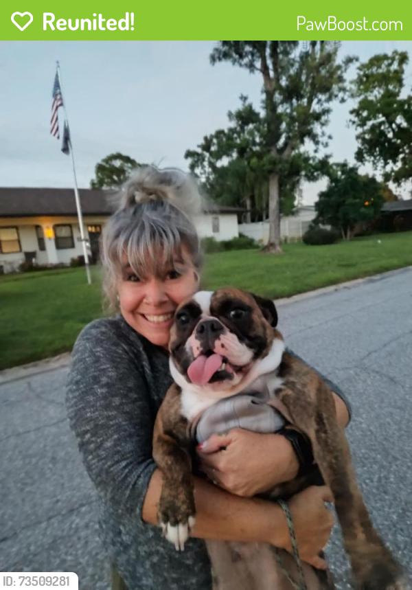 Reunited Female Dog last seen GT bray, Bradenton, FL 34209