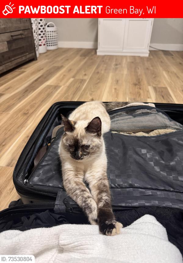 Lost Female Cat last seen Nearest to our home, Green Bay, WI 54304