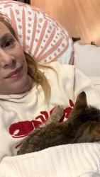 Reunited Female Cat last seen William Floyd parkway, Shirley, NY 11967