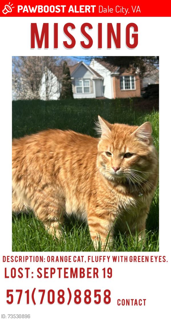 Lost Male Cat last seen Otto rd, Dale City, VA 22193