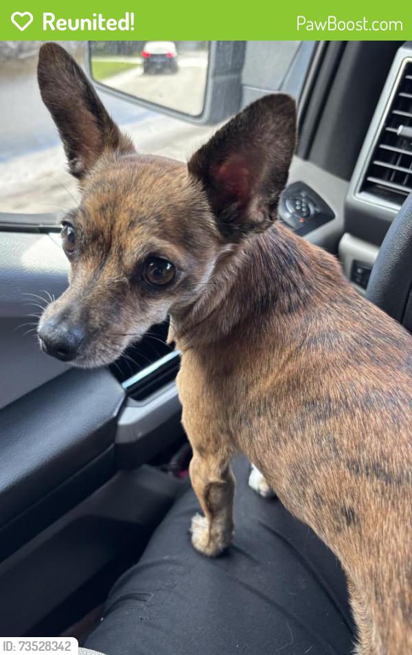 Reunited Unknown Dog last seen Port St. Lucie, Port St. Lucie, FL 34986