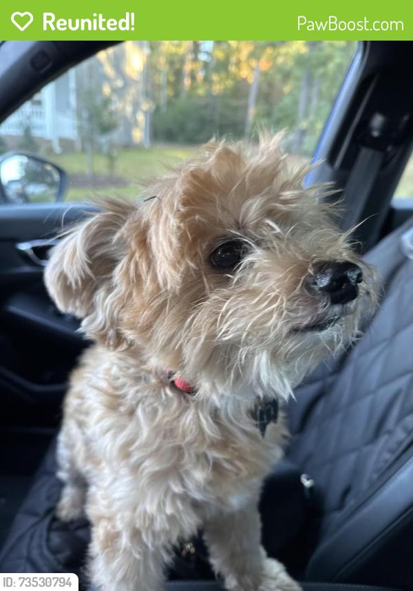Reunited Male Dog last seen Burnside pl, Kings Grant, NC 28405