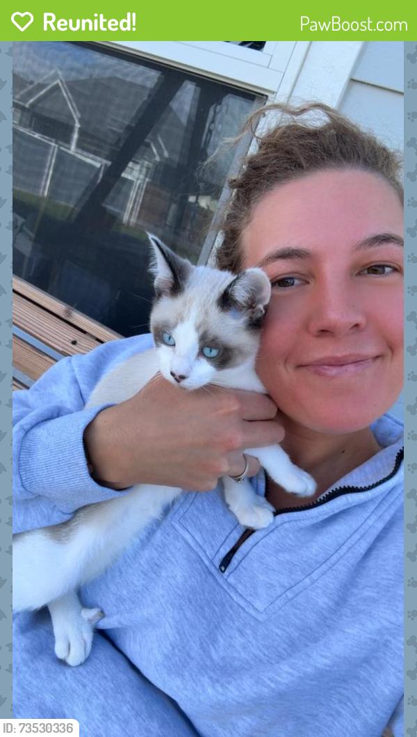 Reunited Male Cat last seen Delea Dr, Great Falls, MT 59404