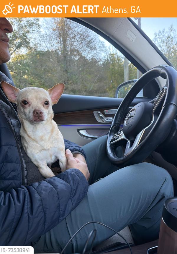 Found/Stray Male Dog last seen Barnett-Shoals and Williamsburg Lane, Athens, GA 30605