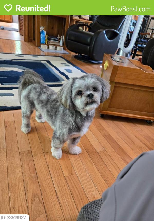 Reunited Male Dog last seen Koger center bon air va, Bon Air, VA 23235
