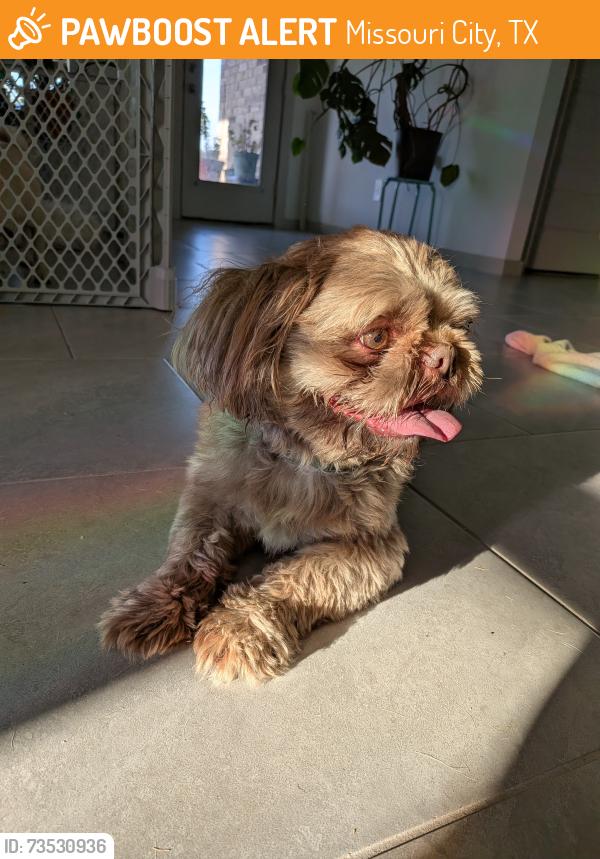 Found/Stray Male Dog last seen Near Canyon shore ln, Missouri City, TX 77459