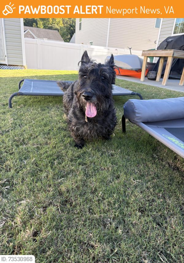 Found/Stray Male Dog last seen Turtle Creek Neighborhood, Newport News, VA 23601