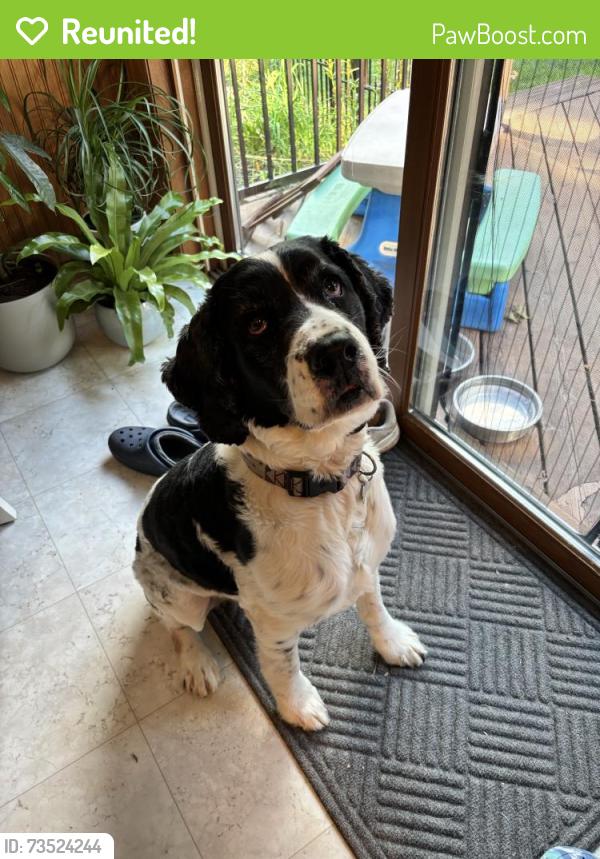 Reunited Male Dog last seen Near 222nd St, Alpena, SD 57312, Alpena, SD 57312
