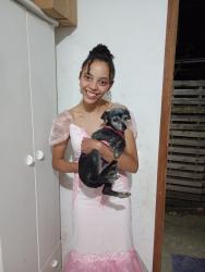 Lost Female Dog last seen Rua Pedro Elmer 520 Quissamã Petrópolis, Quissamã, RJ 25716-215