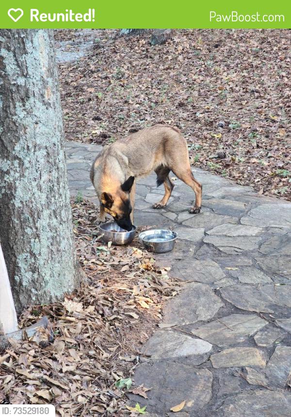 Reunited Female Dog last seen Cedar mountain Rd, Douglas County, GA 30134