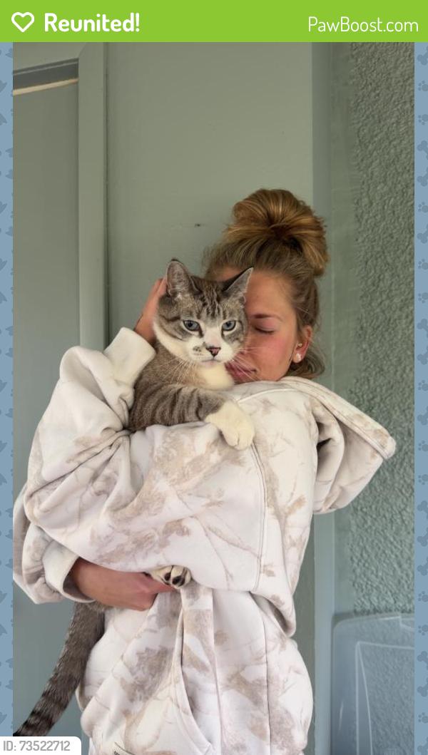 Reunited Male Cat last seen Door was left open so at home on sunrise circle, Elk River, MN 55330
