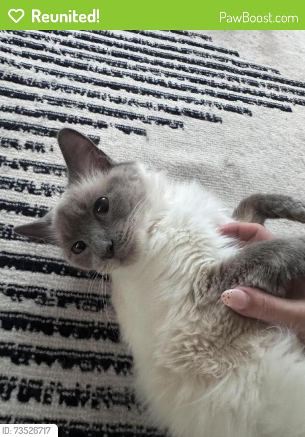 Reunited Female Cat last seen Somewhere around the first building in the University Hills apmts, Sioux Falls, SD 57107