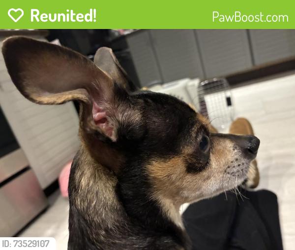 Reunited Unknown Dog last seen Veterans Hwy, Bristol, PA 19007