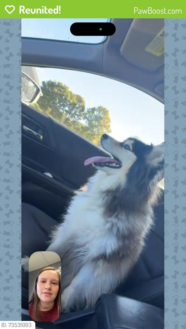 Reunited Female Dog last seen Stokesdale, NC, USA, Stokesdale, NC 27357