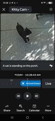 Found/Stray Unknown Cat last seen SE 41st Avenue and SE 52nd Street, Marion County, FL 34480