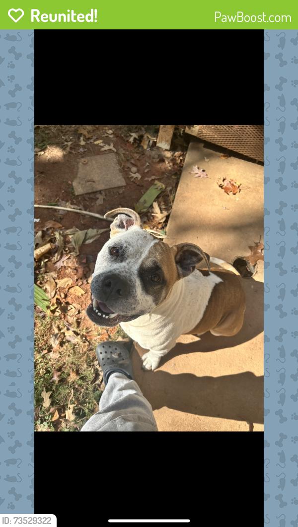 Reunited Male Dog last seen Wexford Dr & Veterans Memorial Hwy, Douglasville, GA 30134