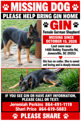 Lost Female Dog last seen Gaffney Highway, Jonesville South Carolina / Bobby Faucette Rd. Jonesville, SC, Jonesville, SC 29353