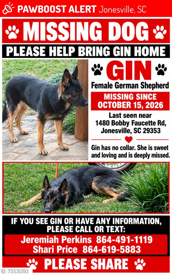 Lost Female Dog last seen Gaffney Highway, Jonesville South Carolina / Bobby Faucette Rd. Jonesville, SC, Jonesville, SC 29353