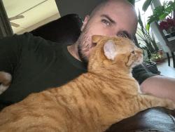 Lost Female Cat last seen Shadow View Ln, Missouri City, TX 77459
