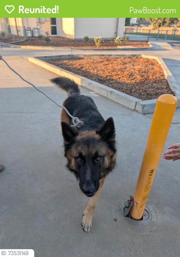Reunited Male Dog last seen Near W Spruce Ave, Fresno, CA 93650, USA, Fresno, CA 93650