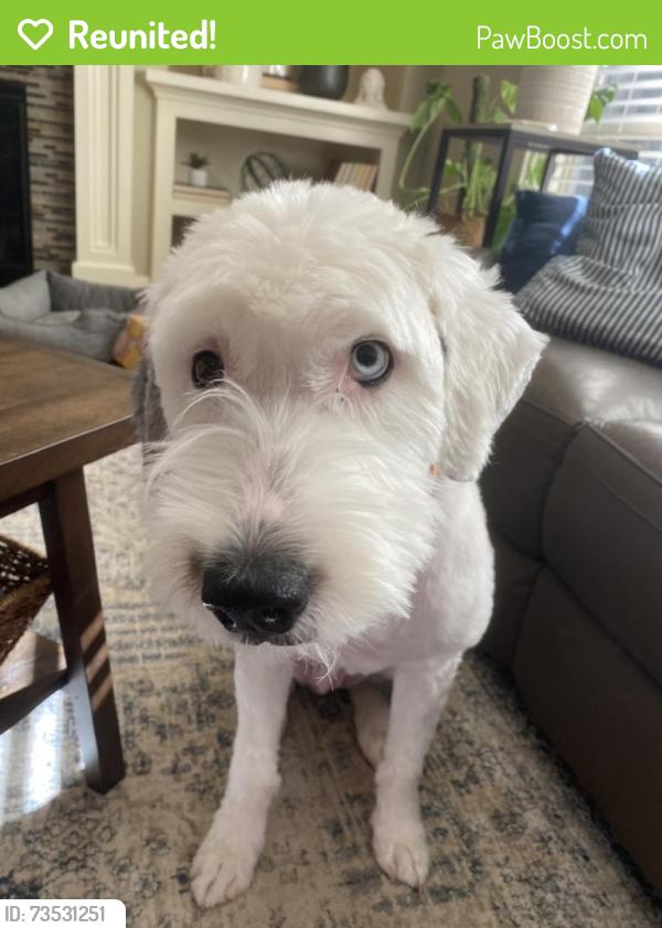 Reunited Female Dog last seen Near SW River Terrace Blvd, Sherwood, OR 97140, USA, Sherwood, OR 97140