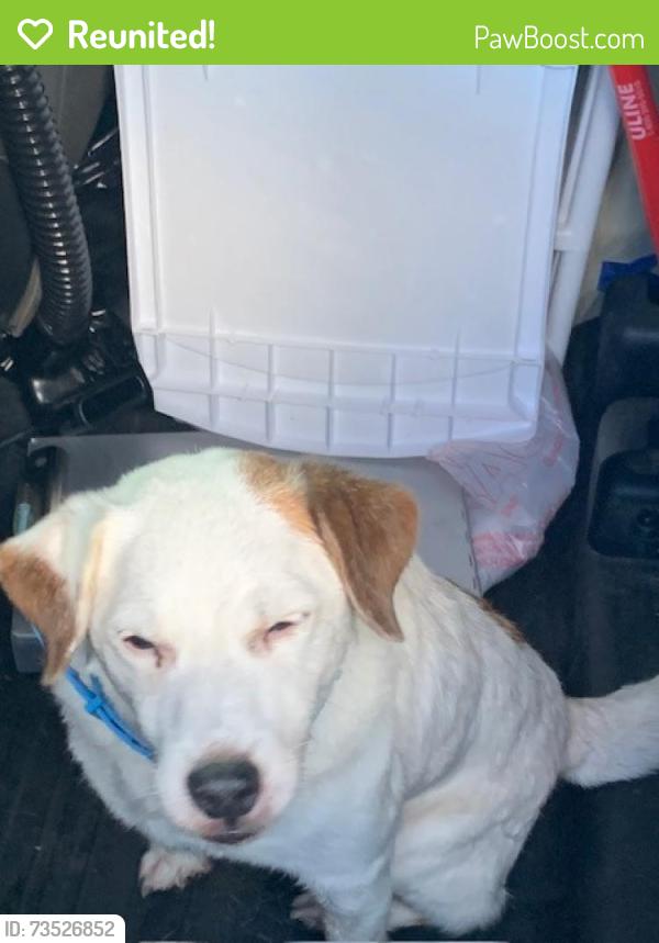 Reunited Male Dog last seen Port Saint Lucie, Port St. Lucie, FL 34986