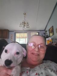 Reunited Female Dog last seen Monroe Bruce Farm Rd, Campobello, SC 29322