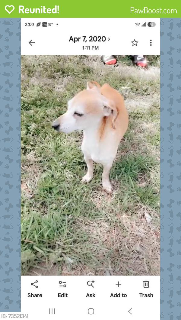 Reunited Male Dog last seen 8th and hoover, Wichita, KS 67212