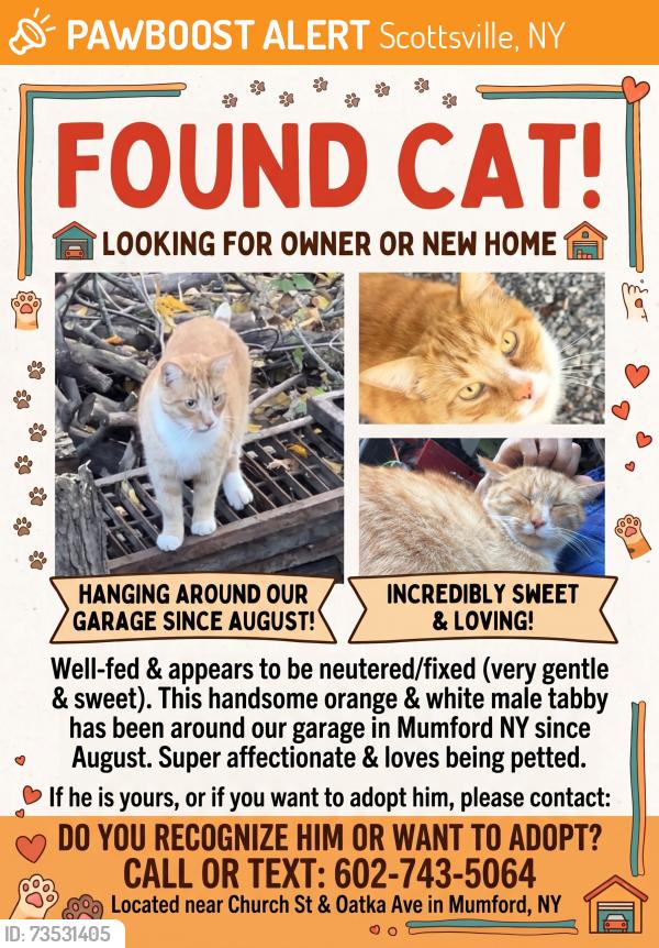 Found/Stray Male Cat last seen Church Street and Oatka Ave, Scottsville, NY 14546