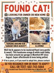 Found/Stray Male Cat last seen Church Street and Oatka Ave, Scottsville, NY 14546
