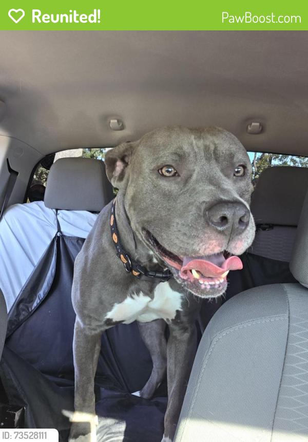Reunited Male Dog last seen Reserve Center, Winterville, NC 28590