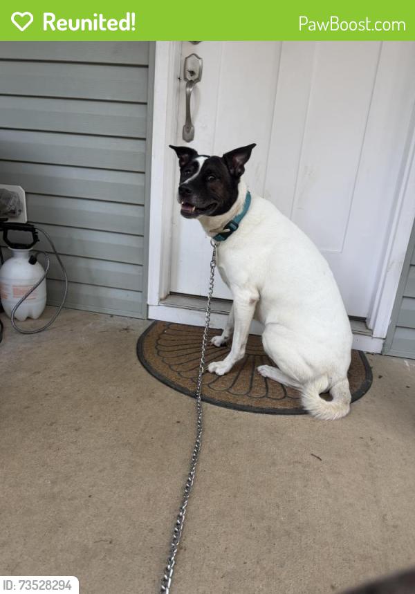 Reunited Female Dog last seen Gentry Farms, Locust Grove, VA 22508