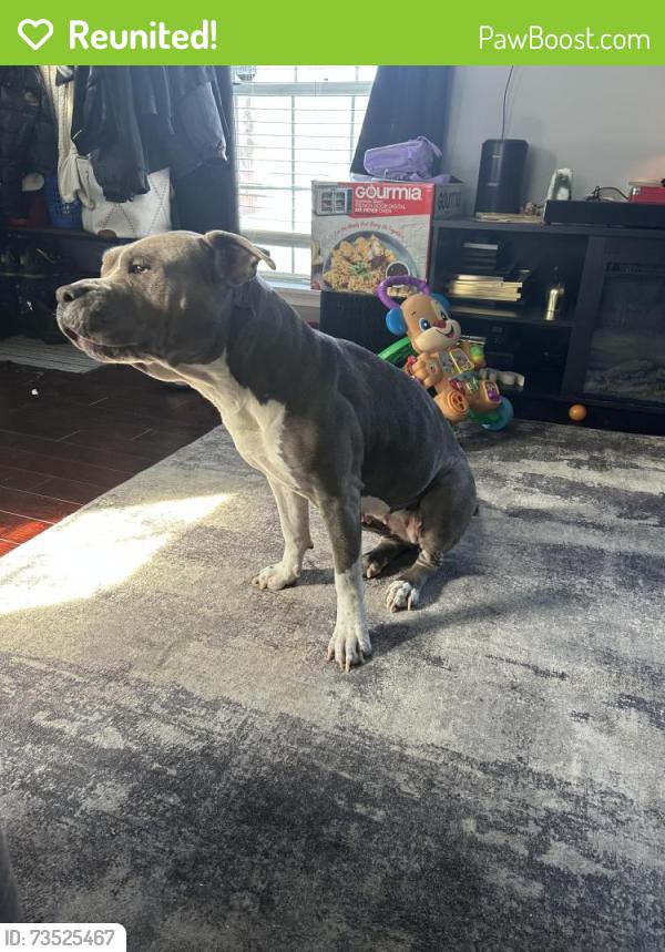 Reunited Female Dog last seen Sandra cr, Indian Head, MD 20640