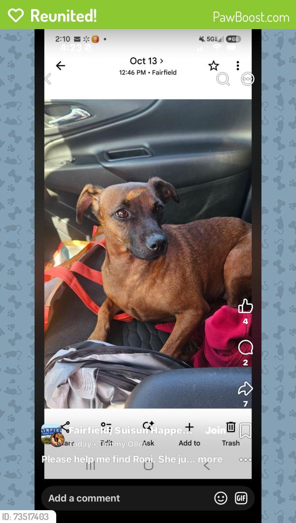Reunited Female Dog last seen Claybank and e tabor, Fairfield, CA 94533
