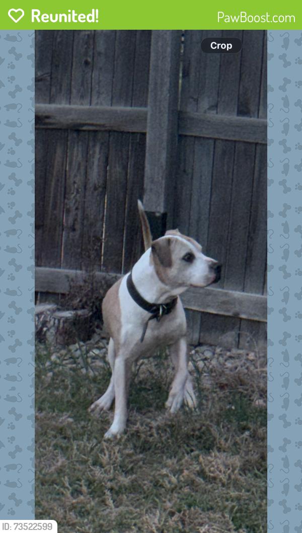 Reunited Male Dog last seen Near and eudora, Thornton, CO 80233