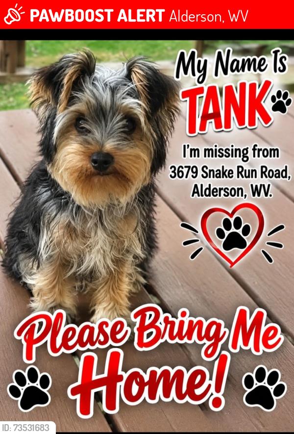 Lost Male Dog last seen Near Snake Run Road, Alderson, WV 24910