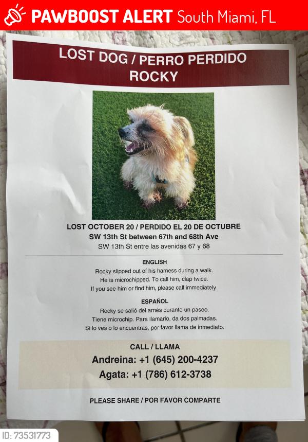 Lost Male Dog last seen Near and 68 th sw 13 th west Miami, South Miami, FL 33143