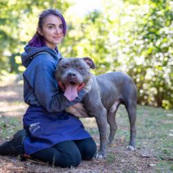Shelter Stray Male Dog last seen Near Trent Jones Way, 30038, GA, 3280 Chamblee Dunwoody Rd, Chamblee, GA 30341, USA
