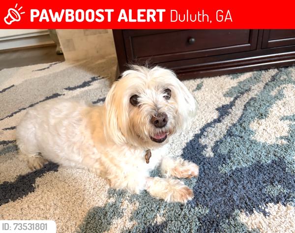 Lost Male Dog last seen Inside St.Ives Country Club, Duluth, GA 30097