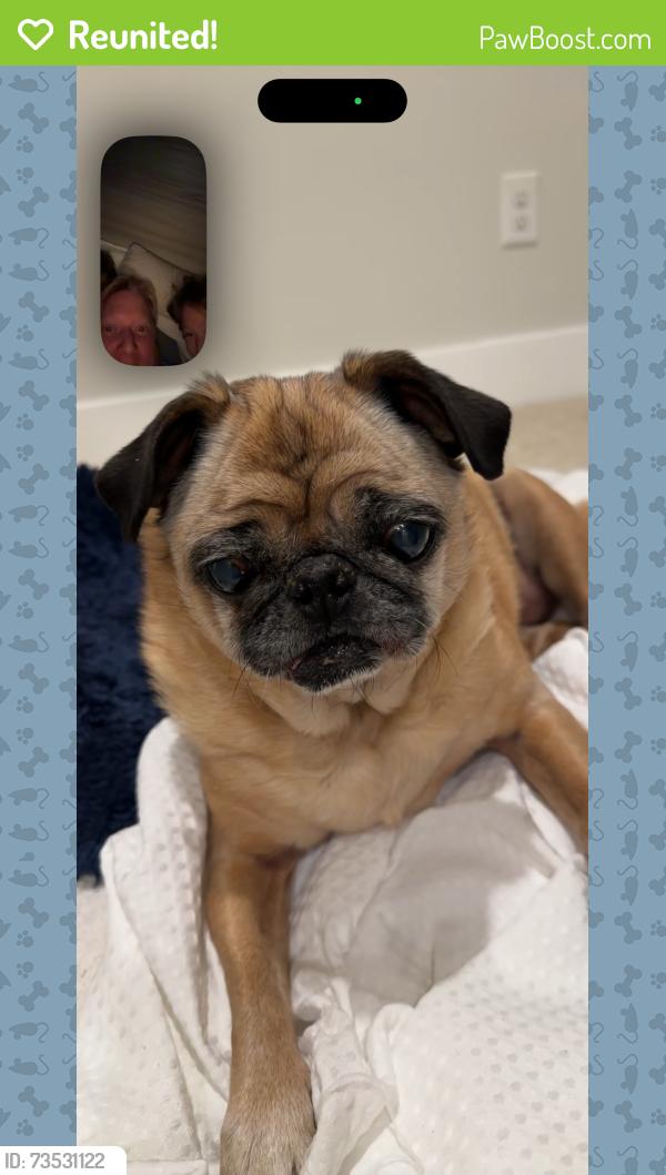 Reunited Female Dog last seen Near Gordon Dr, Napa, CA 94558, USA, Napa, CA 94558