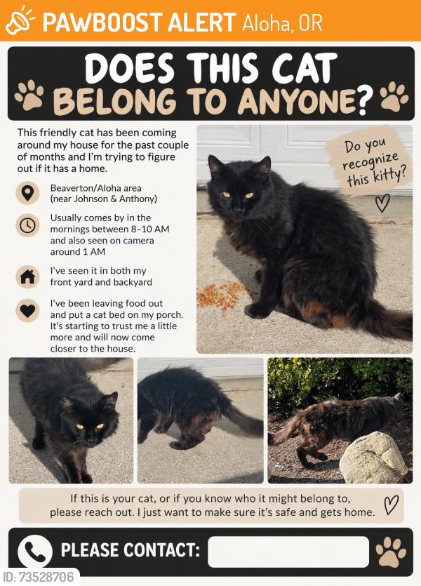 Found/Stray Unknown Cat last seen Sw anthony and sw johnson by reedville elementary, Aloha, OR 97003