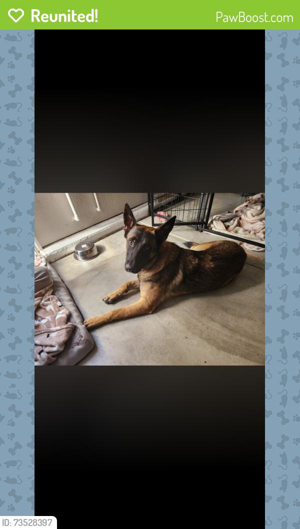 Reunited Unknown Dog last seen Nascimento and Alfonseca, Manteca, CA 95337