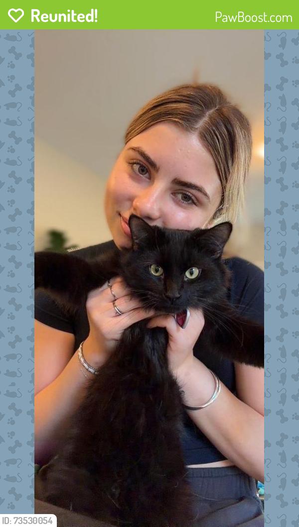 Reunited Male Cat last seen Jeanne Sauve French Immersion School, London, ON N6H 2B6