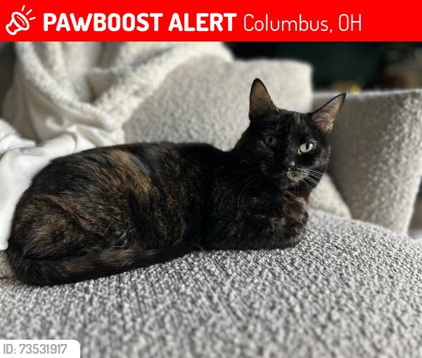 Lost Female Cat last seen Linworth Rd and Larkstone Drive, Columbus, OH 43235