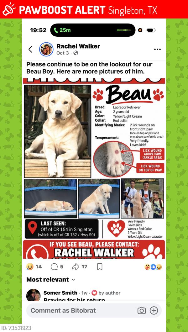 Lost Male Dog last seen CR 152 and 154 Singleton Grimes County, TX 76831, Singleton, TX 77831