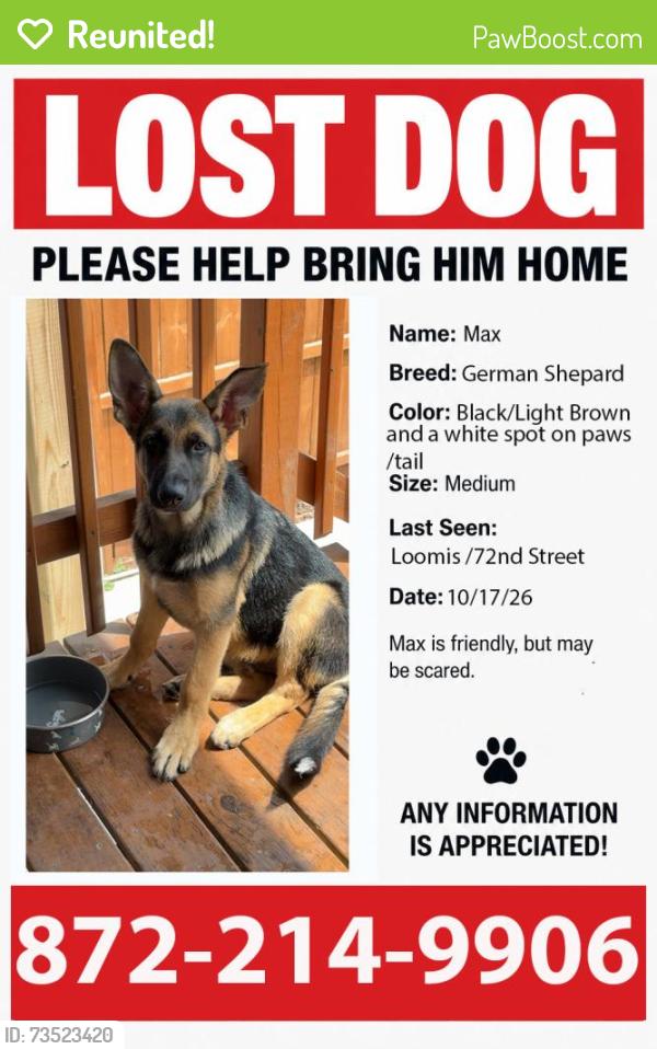 Reunited Male Dog last seen Near W 72 st, Chicago, IL 60620