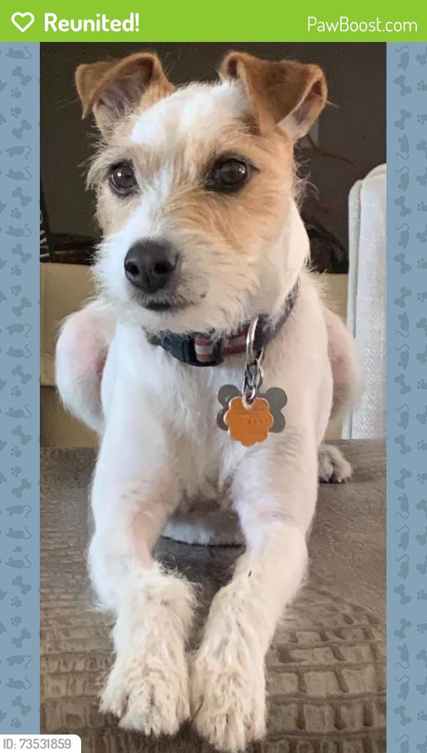 Reunited Male Dog last seen W. Country club drive & N. Armenia, Tampa, FL 33612